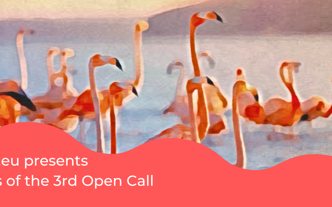 ngi open calls